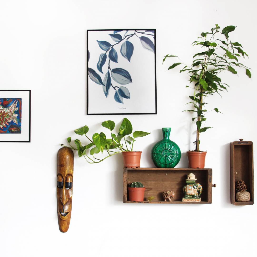 Add some plants or flowers for freshness and life