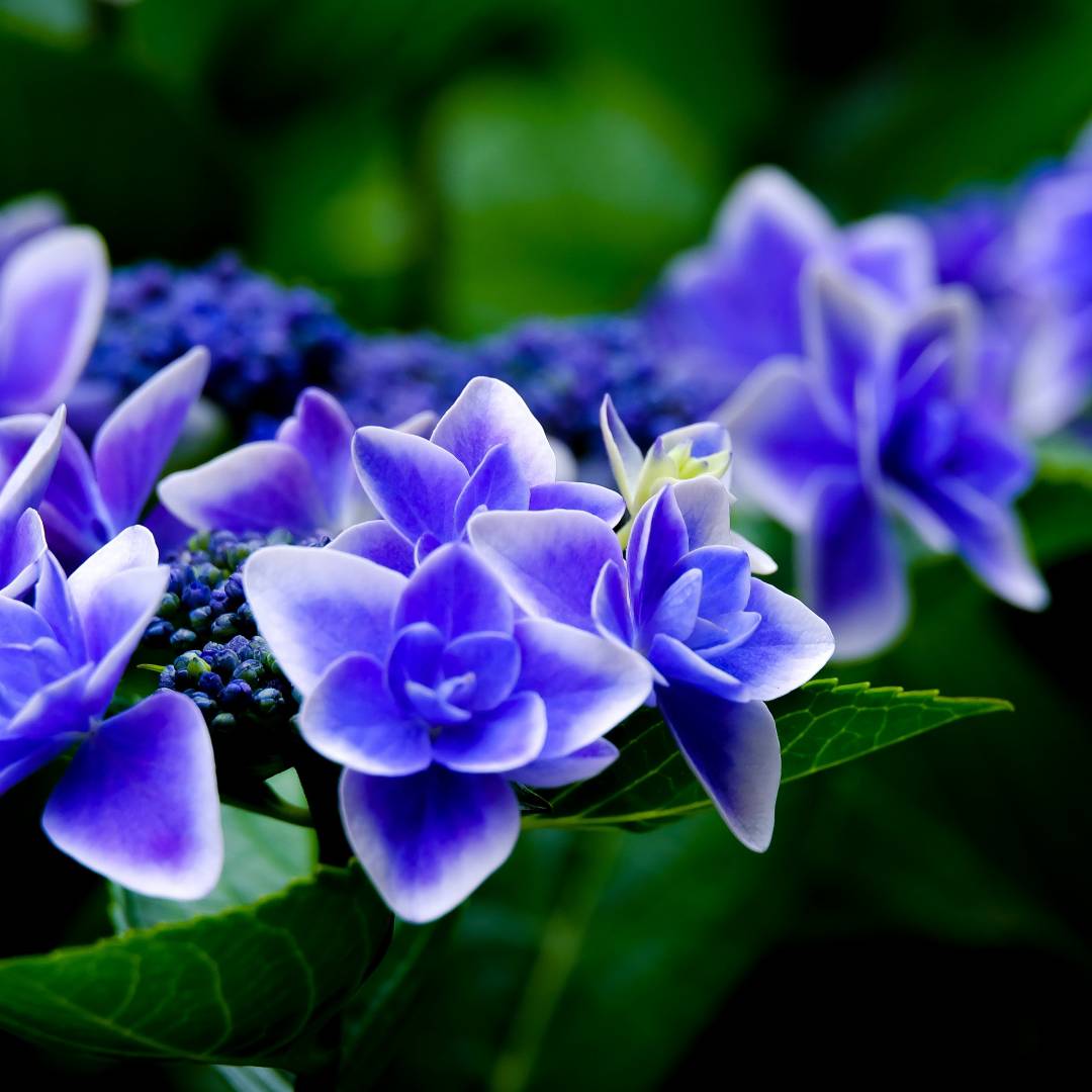 Add a few plants or flowers to each potter for pops of color