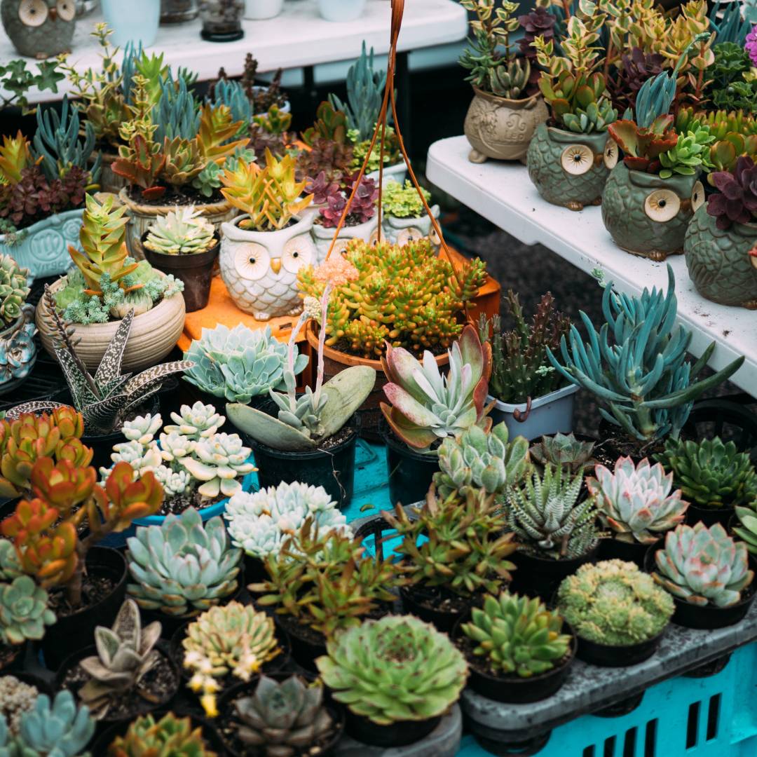 Designing your dream front porch with flower potters