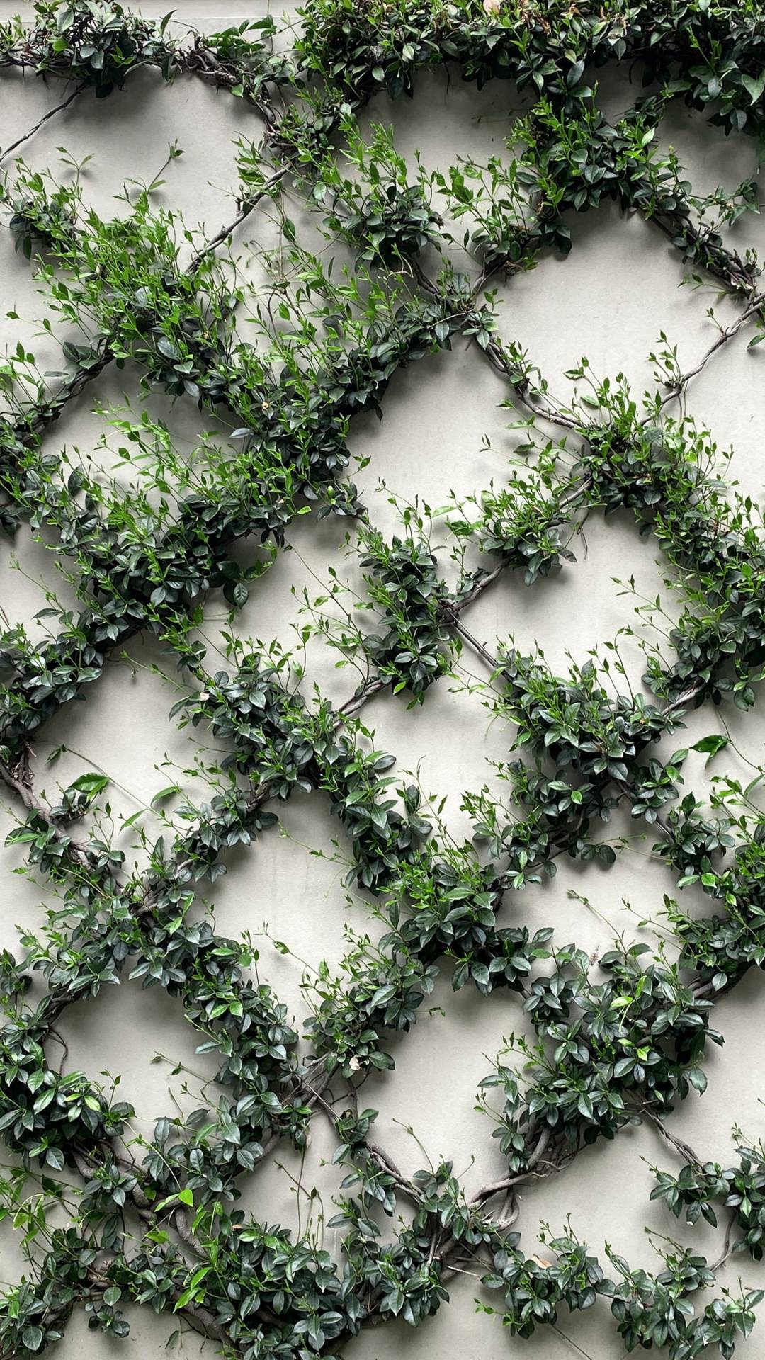 How To Decorate Your Walls Green With a Little Design Help