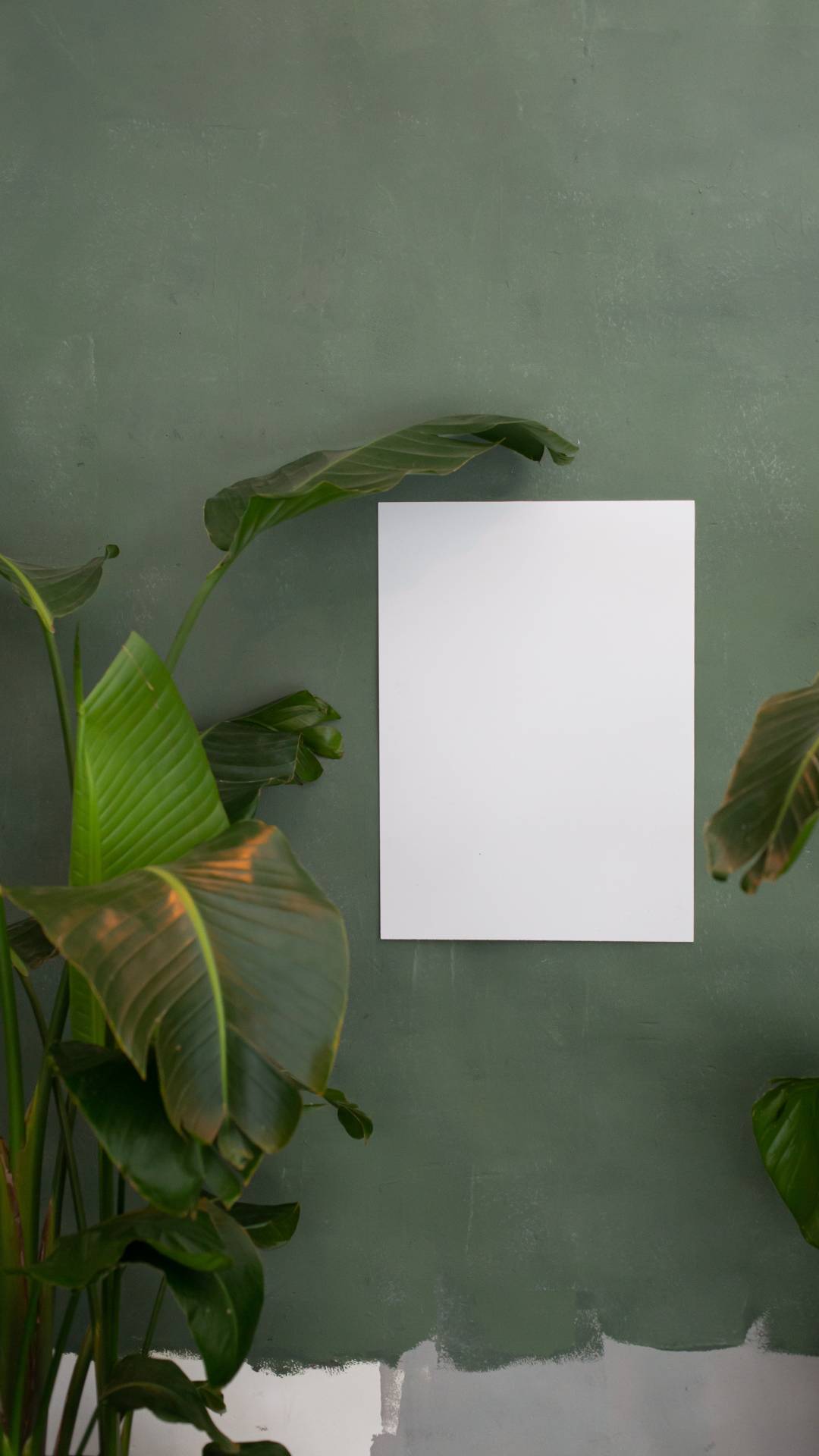 Here's how to get started with some basic design tips