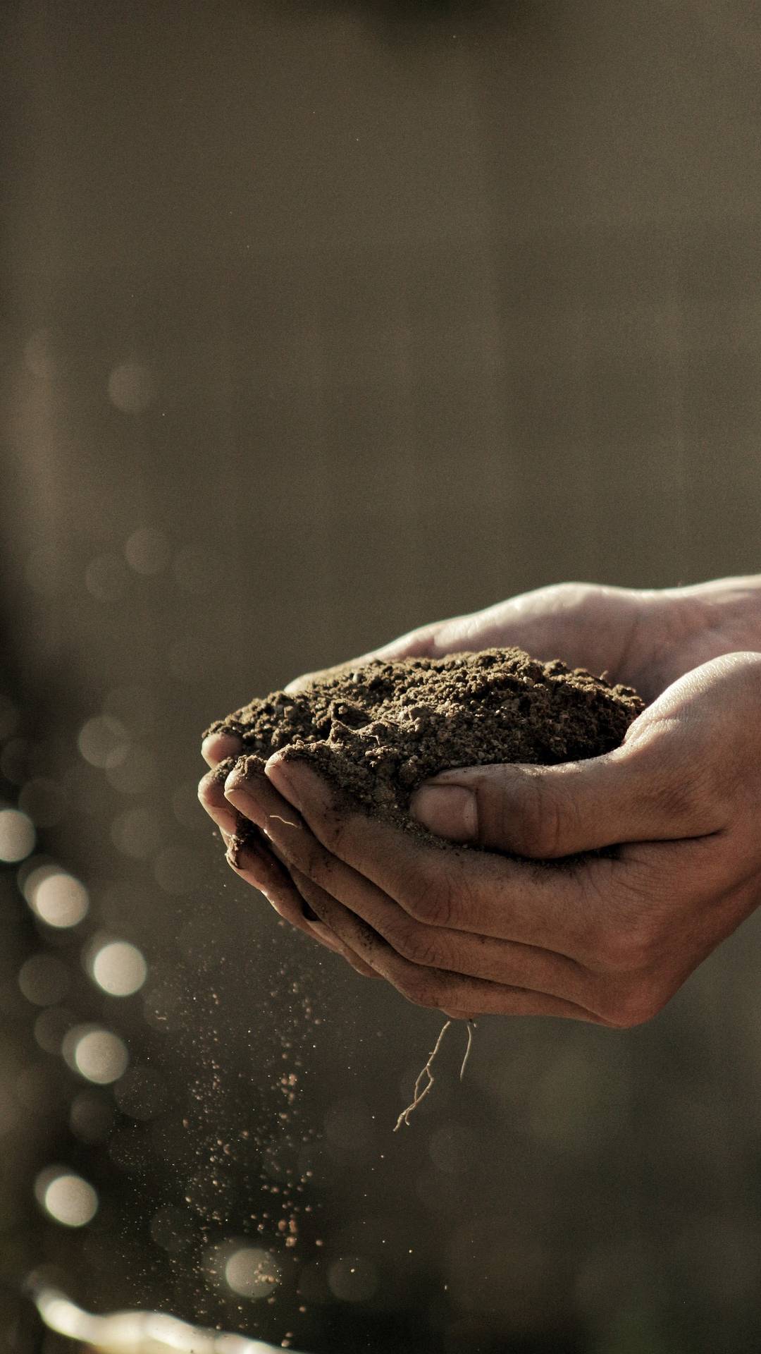 Soil is what holds everything together. 