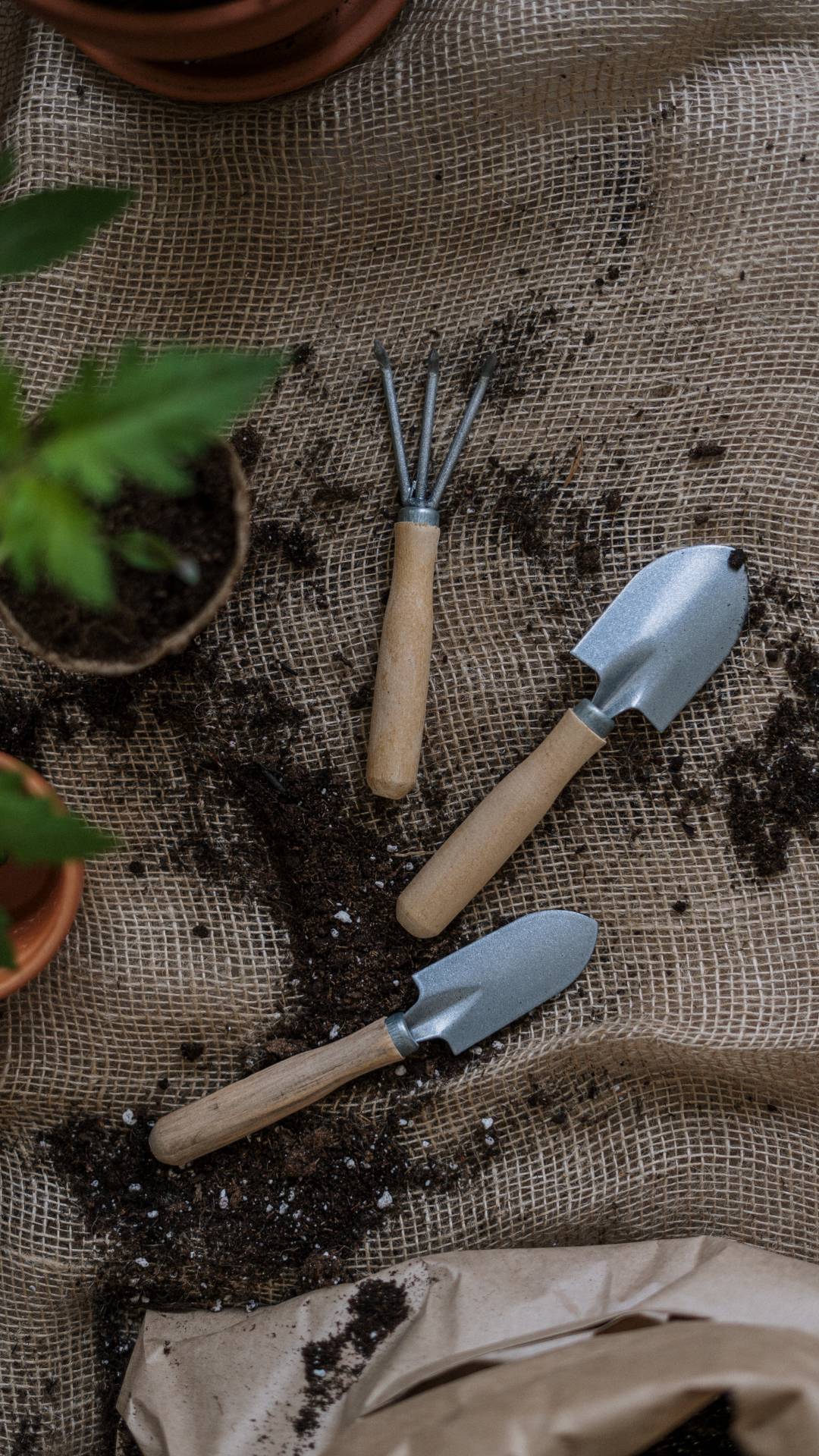 Garden tools are necessary for any gardener. 