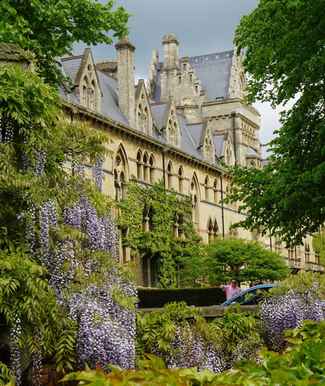Planting Ideas