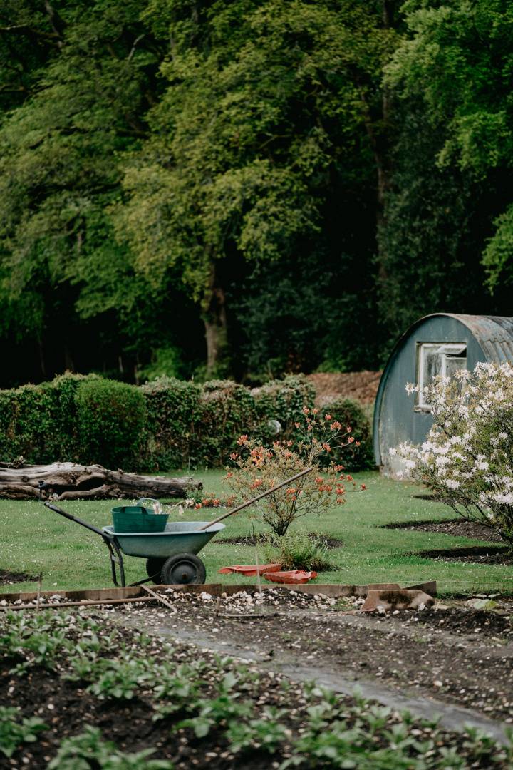 To get started, look for an open space in your backyard that gets at least six hours of sunlight each day. If you don't have a lot of space, you can still…