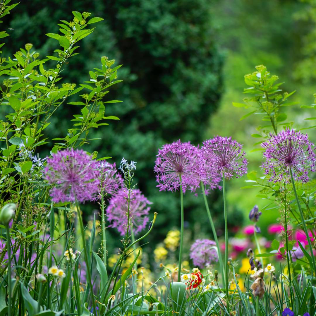 Tips for keeping your garden looking great all year round