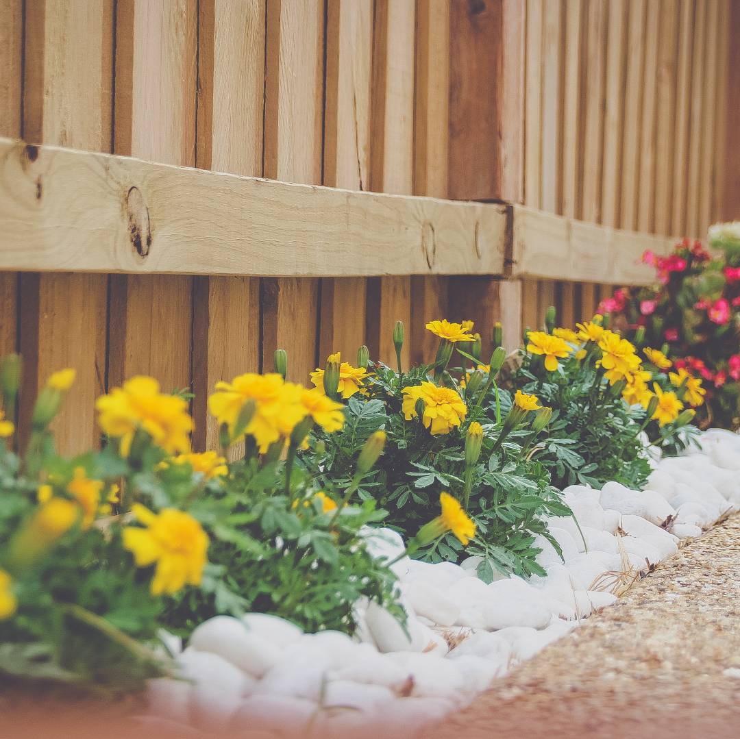 • Versatility: Rocks can be used for various landscaping purposes, such as creating a focal point, defining borders, or covering a sloping area. They can…