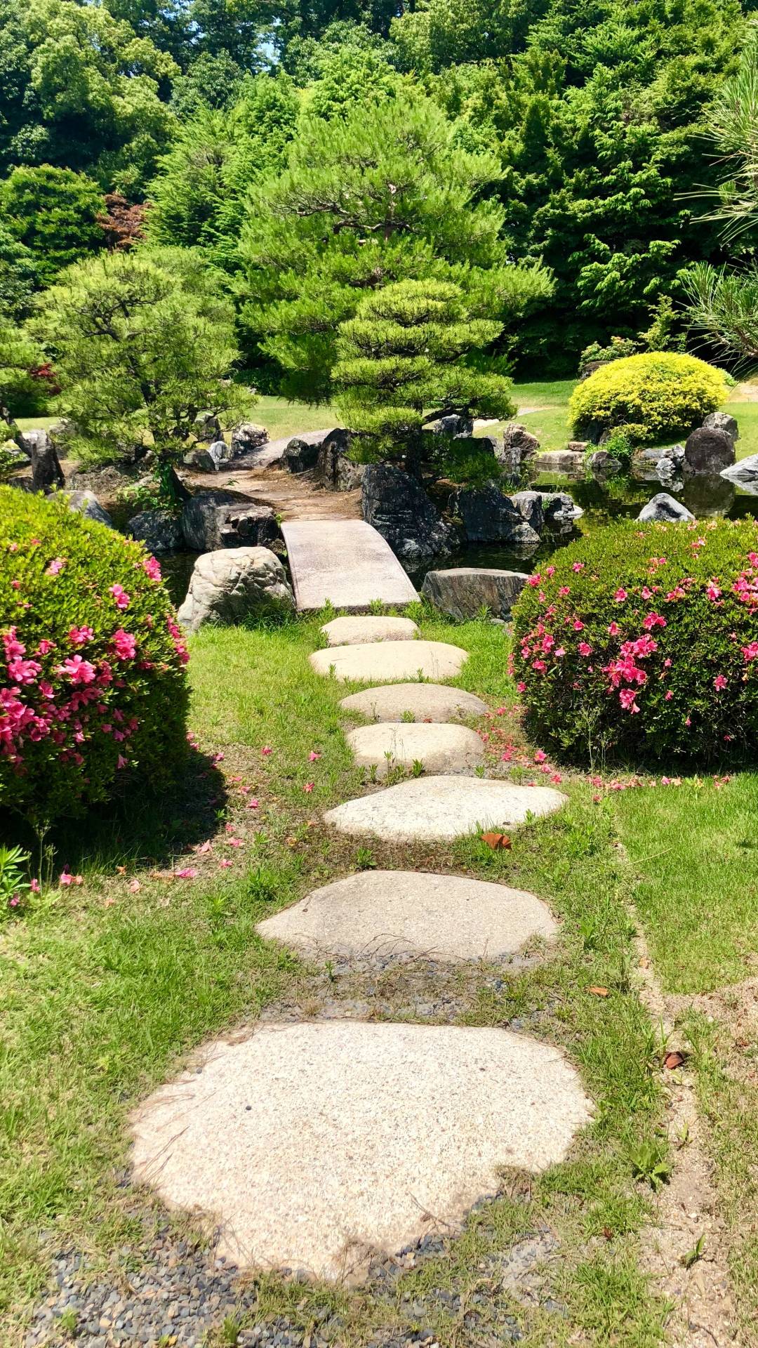 Landscaping with Rocks: The Benefits, Techniques, and Tips
