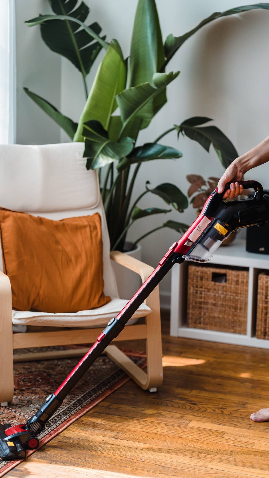 The Best Vacuums for Pet Hair: A Comprehensive Guide