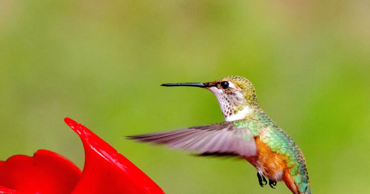 donald-teel-6YK8OvvI90k-unsplash.jpg (1.33 MB)