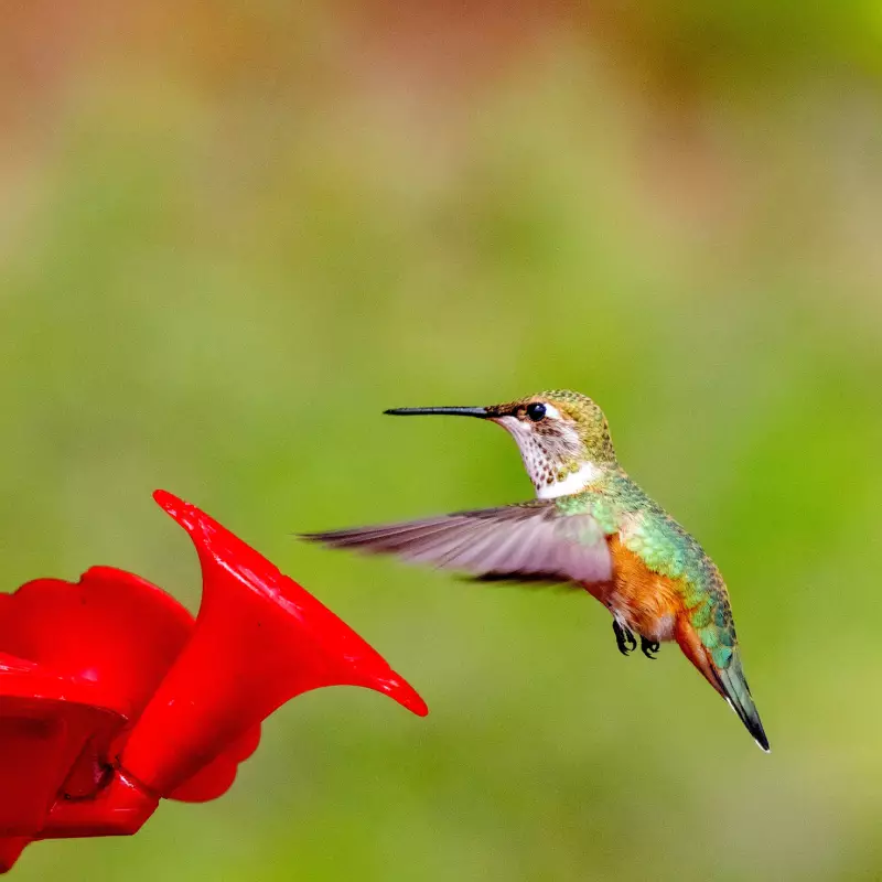 donald-teel-6YK8OvvI90k-unsplash.jpg (1.33 MB)