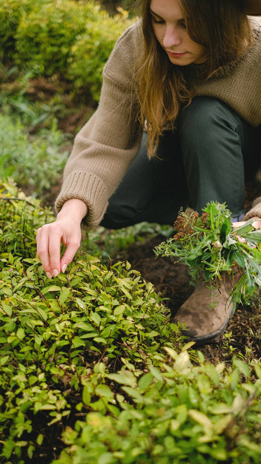 Connecting with nature: 