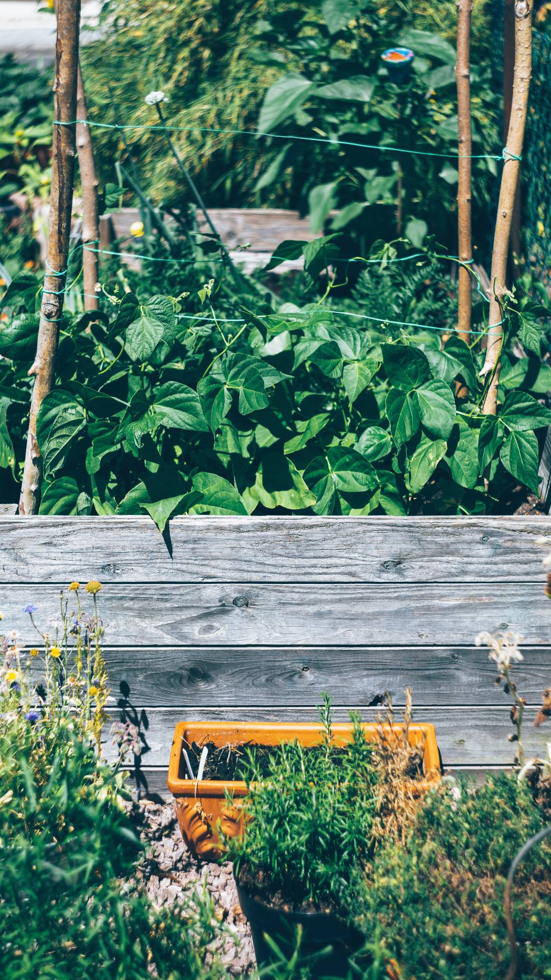 What do I put on the bottom of a raised garden bed this summer?